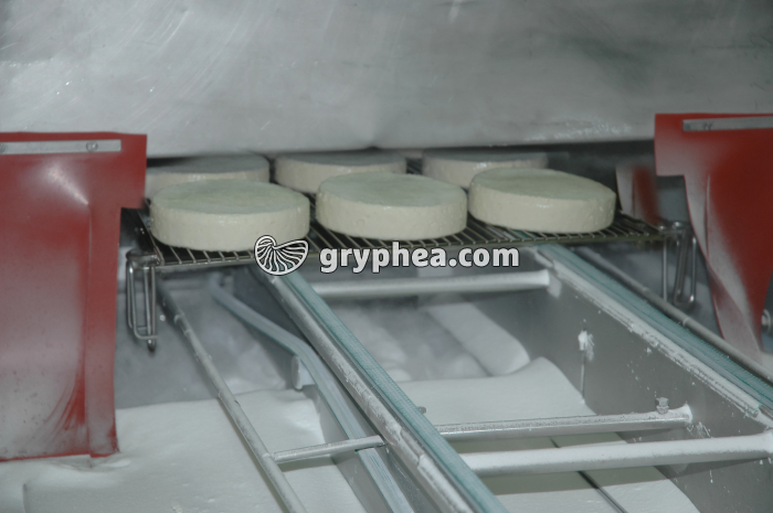 Fabrication du fromage - Salage des fromages frais - gryphea.com